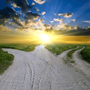 Life Path Reading