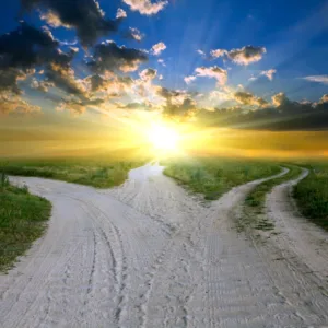 Life Path Reading