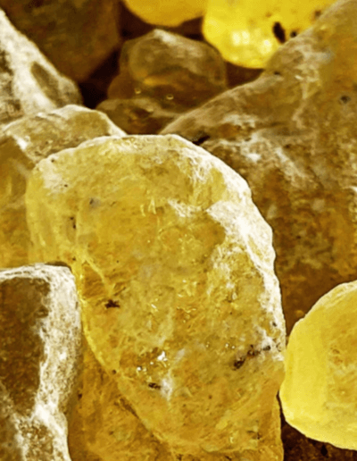 Copal Resin