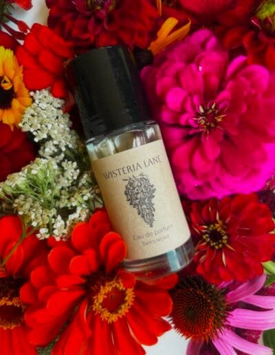 Wisteria Lane Perfume Oil (50ml)