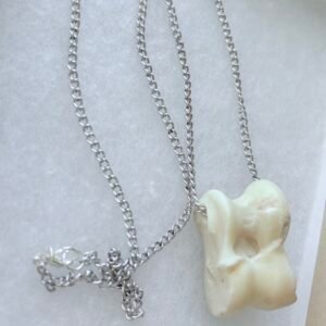 Deer Bone and Stainless Steel Chain